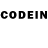 Галлюциногенные грибы GOLDEN TEACHER ha hoc