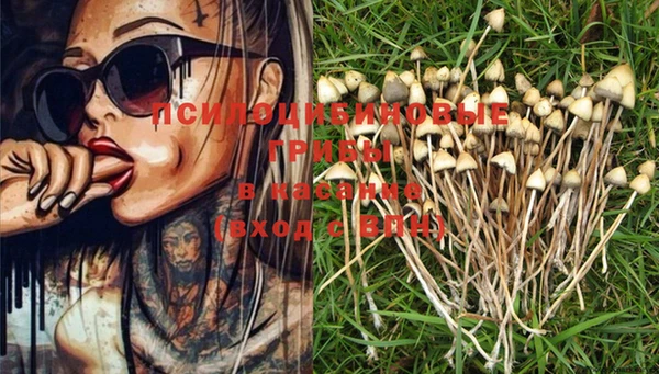 PSILOCYBIN Осинники