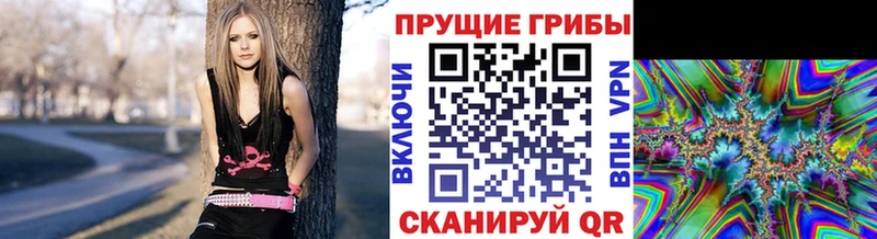 Галлюциногенные грибы Magic Shrooms  блэк спрут как войти  Красноуральск 