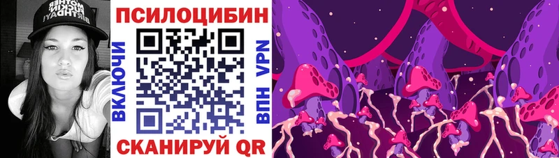 Псилоцибиновые грибы Psilocybe Красноуральск